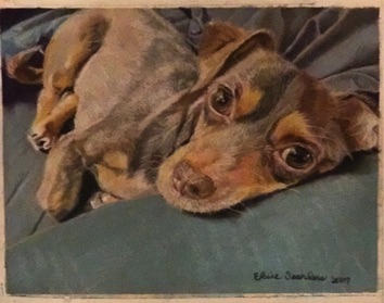 Daschund  9x12
Original $250
